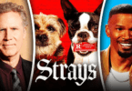 Strays