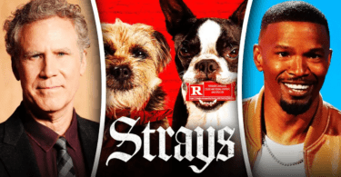 Strays